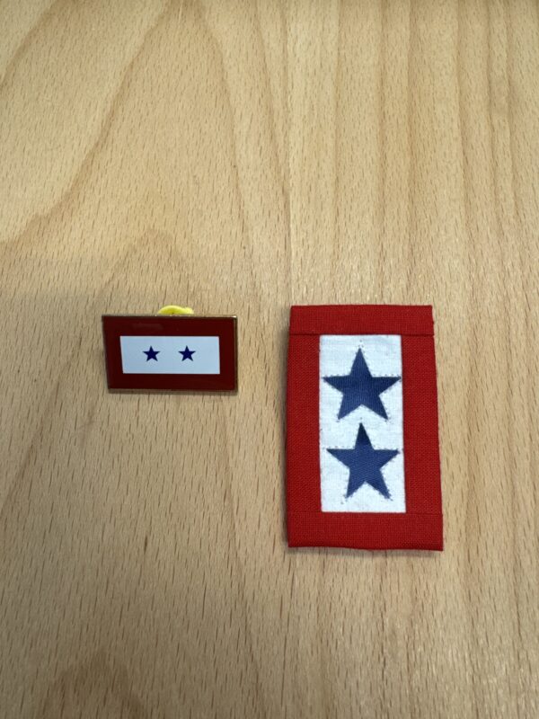2 Star Military Service Flag Lapel Pin Set